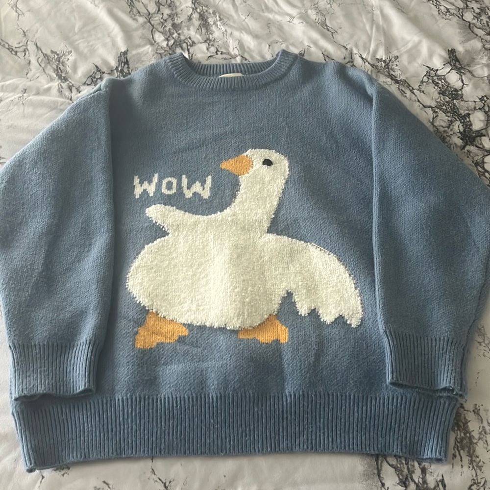Aelfric Eden “Wow” Duck Sweater (Small)
